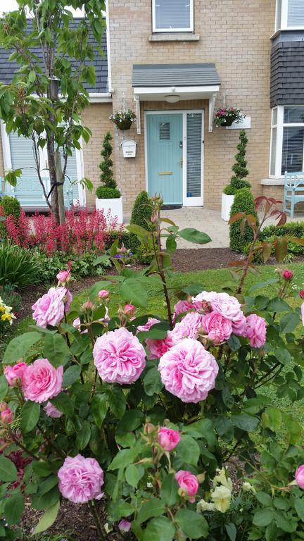 No.5 Bed & Breakfast Kilcullen Exterior photo